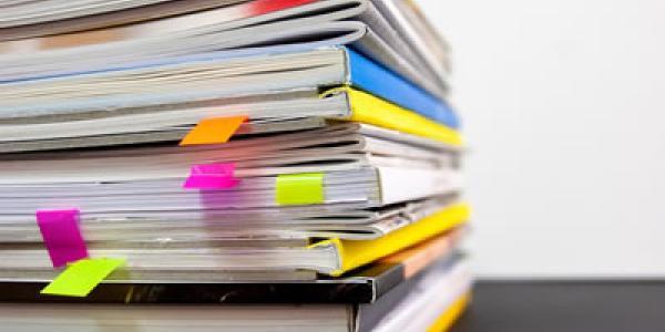 Manifesto degli studi